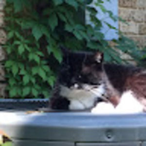 Meet your Posher, Beth